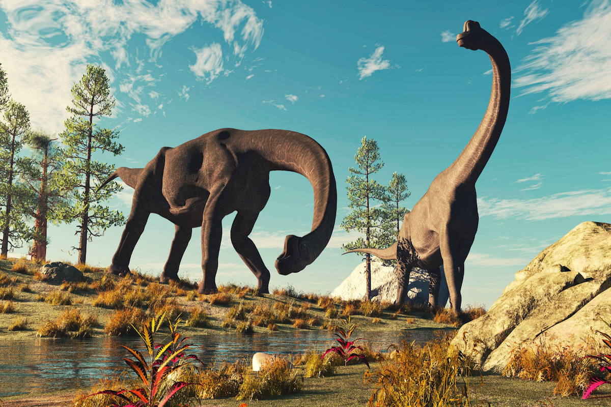 brachiosaurus jumbotron